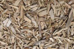 biomass boilers Ton Y Pistyll